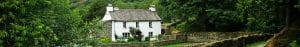 White rural country cottage surrounded by trees and green fields