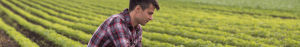 farmer looking at phone in field