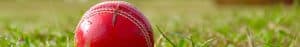 Cricket ball on grass