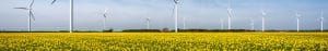 A field of wind turbines