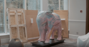 Tula, the elephant in the room