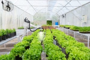 Smart robotic farmers in agriculture futuristic robot automation work water the plants